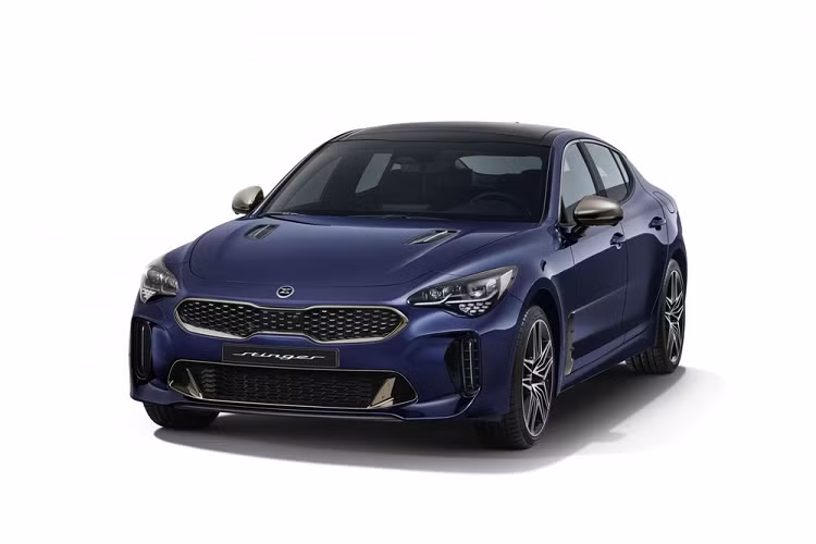 Tùy vào thị trường, Kia Stinger sẽ có tùy chọn màu sắc nội thất riêng. Tại Hàn Quốc, nội thất Kia Stinger sẽ được bổ sung tùy chọn màu Nâu sậm đi kèm ghế bọc da Nappa với đường chỉ thêu hình kim cương. Trong khi đó thị trường thế giới sẽ có tùy chọn màu sắc như Đen, Đỏ hoặc Be cho các loại chất liệu như da Nappa và da tổng hợp.
