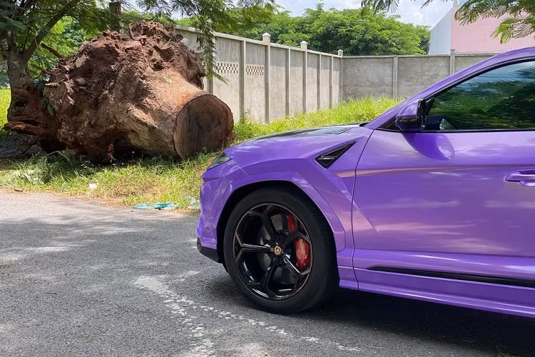 Cánh gió này bao gồm một lướt gió khổng lồ bằng carbon và một cánh gió khác nằm trên mui xe trông khá hầm hố. Nếu để ý kỹ sẽ thấy dưới cánh gió khổng lồ bằng carbon Mansory trên siêu SUV Lamborghini Urus màu tím còn có một đuôi cá.