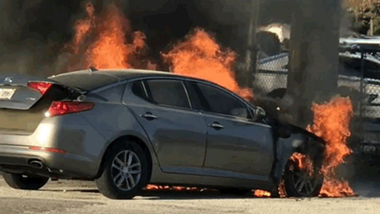 Gan 300.000 xe Kia tai My dinh loi gay hoa hoan-Hinh-2