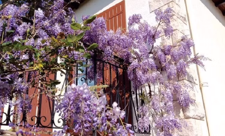 Thong gia ban dat tien ty, me chong danh tieng doi chia