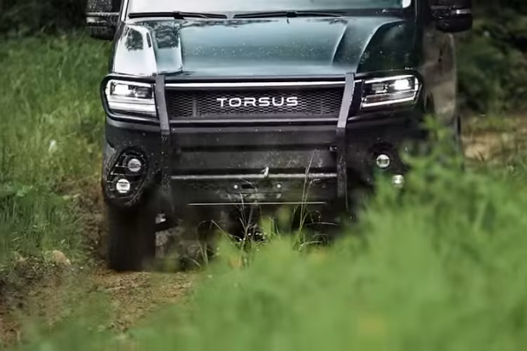 Không gian cabin của xe có thể lựa chọn lắp đặt ghế ngồi giữa 9 – 20 hành khách. Tùy thuộc vào nhu cầu của người dùng, các ghế ngồi có thể được trang bị dây đai 5 điểm để đảm bảo an toàn khi chiếc xe vượt qua một chỗ khó. Đối với tài xế, Terrastorm có lắp đặt một bảng điều khiển màn hình cảm ứng mà dùng để vận hành hệ thống âm thanh và điều hòa.