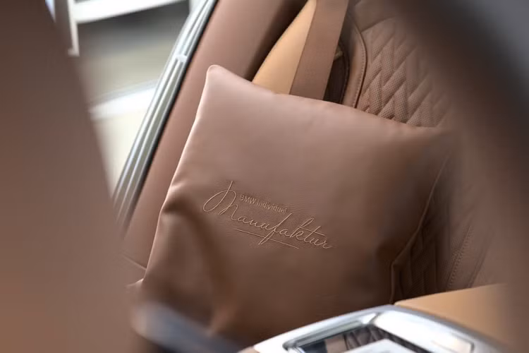 Điểm đặc biệt nhất trong khoang nội thất của xe chính là các tấm ốp trang trí với họa tiết được vẽ thủ công cực kỳ ấn tượng. Đây chính là tác phẩm của nghệ sĩ người Nam Phi Nic Bladen. Ông đã tìm nguồn cảm hứng cho tác phẩm của mình từ hệ thực vật đặc trưng của quê hương mình. Ông đã sử dụng các chất liệu phôi thạch cao và vàng, bạc, bạch kim lỏng để tạo ra tác phẩm điêu khắc chi tiết về lá, hoa, rễ và cành cây mô phỏng theo các loài thực vật hoang dã.