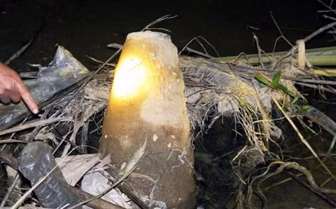 Quả bom có phần đuôi nhô lên mặt nước.