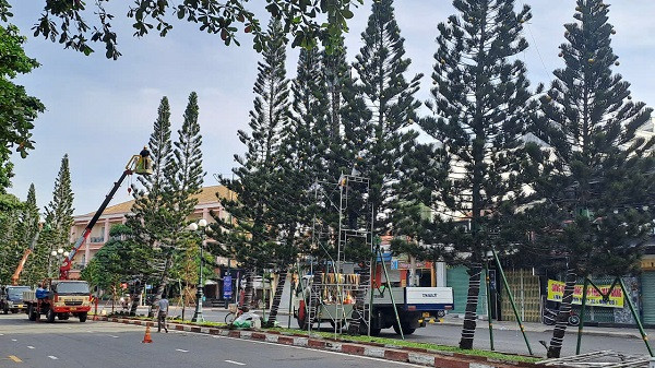 Cận cảnh gói thầu trang trí Tết 2025 tại Vũng Tàu - Hình 5 Can canh goi thau trang tri Tet 2025 tai Vung Tau-Hinh-5