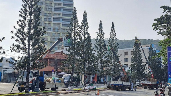 Cận cảnh gói thầu trang trí Tết 2025 tại Vũng Tàu - Hình 3 Can canh goi thau trang tri Tet 2025 tai Vung Tau-Hinh-3