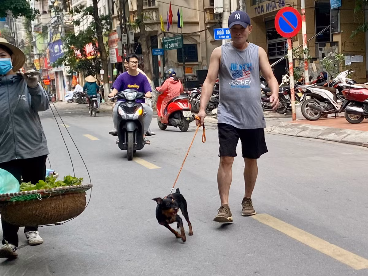 Theo thống kê, tổng đàn chó, mèo của Hà Nội khoảng 460.000, đứng thứ hai cả nước sau Nghệ An.