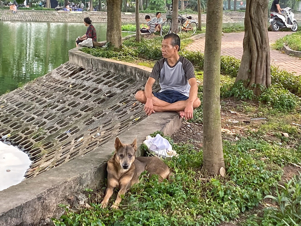 Nguy hiểm luôn rình rập khi ở khu vực công cộng có nhiều chó thả rông.