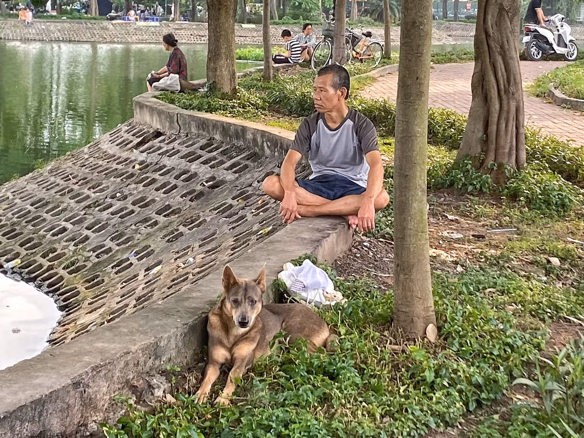 Nguy hiểm luôn rình rập khi ở khu vực công cộng có nhiều chó thả rông.