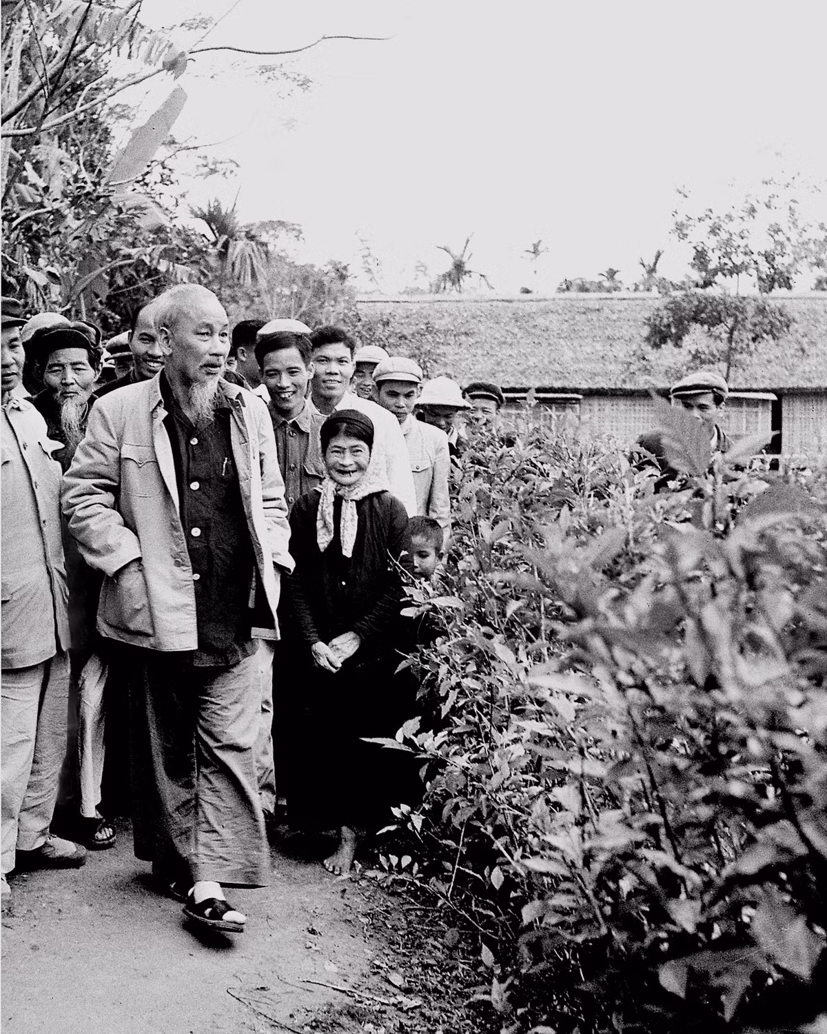 Nghe si nhiep anh Trinh Hai nho ky niem ve Bac Ho-Hinh-2