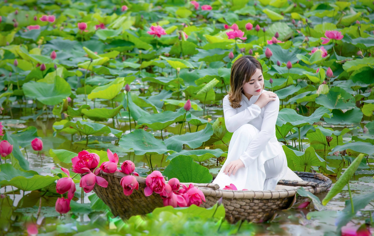 Vì màu sắc tươi thắm, đầm sen đỏ huyết hiếm có này đã thu hút nhiều du khách đến thưởng sen, chụp ảnh kỉ niệm.