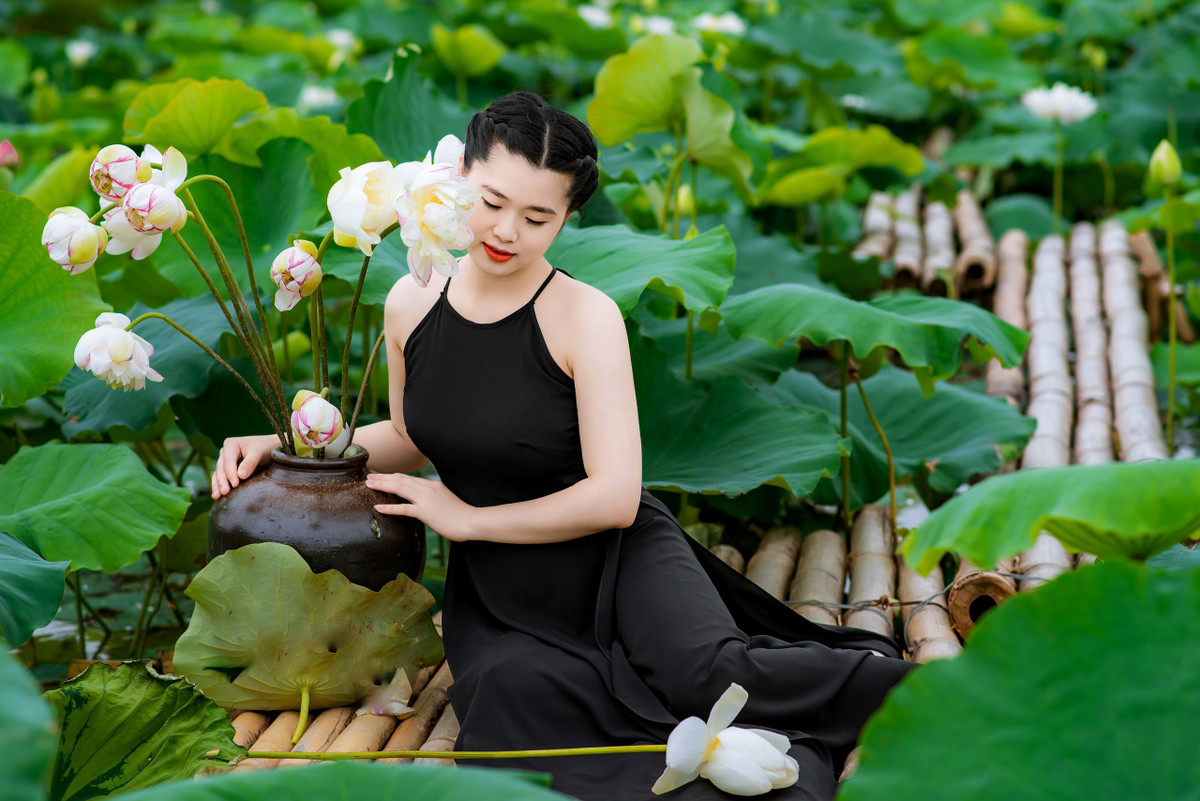 Mỗi loài sen đều mang đến một vẻ đẹp riêng biệt.