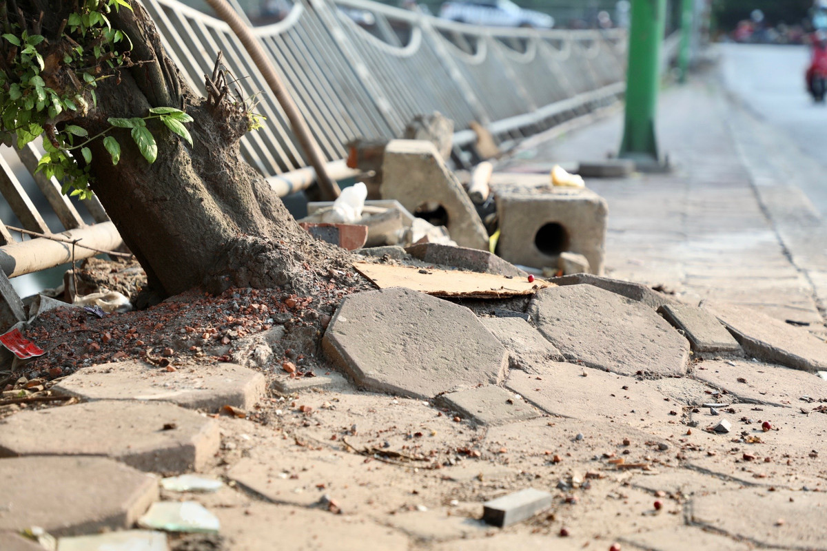 Những cây xanh ngày một lớn khiến bề mặt vỉa hè cũng bị hư hỏng theo. Anh Trần Văn Tình, người dân sống gần khu vực chia sẻ: "Thực trạng lan can bảo vệ của sông đã hư hỏng từ lâu, chúng tôi mong các cơ quan chức năng quan tâm, nhanh chóng xử lý để đảm bảo an toàn cũng như nâng cao mỹ quan đô thị".