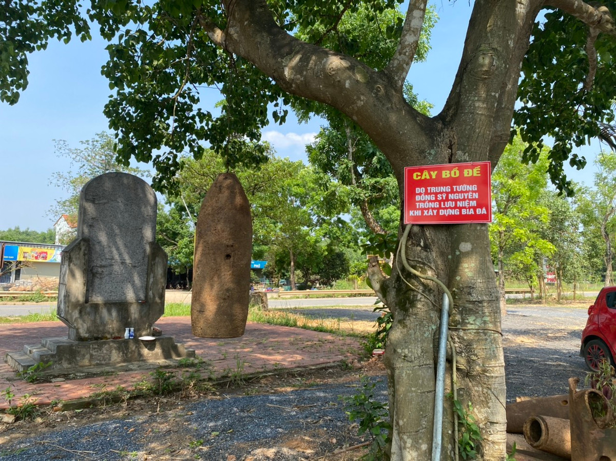 Phía trước căn nhà có cây bồ đề do Trung tướng Đồng Sỹ Nguyên trồng dịp xây dựng bia đá tưởng niệm.