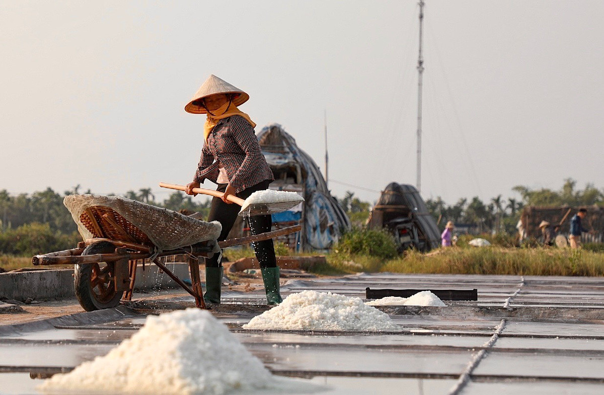 Những đống muối đã được lọc kĩ các tạp chất, diêm dân sẽ vun thành từng chóp rồi xúc lên xe cút kít.