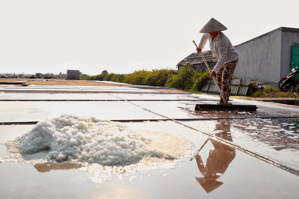 “Để gỡ một phần khó khăn cho diêm dân, hỗ trợ họ duy trì nghề muối, xã đã cho quy hoạch lại vùng sản xuất muối. Những vùng sản xuất kém hiệu quả được chuyển đổi sang đất trồng hoa màu, chăn nuôi gia súc và nuôi trồng thủy sản. Tuy nhiên, từ năm 2020 đến nay đất chuyển đổi vẫn trong diện quy hoạch chưa được phê duyệt khiến nhiều khu đất bị bỏ hoang. Về phía địa phương cũng khuyến khích người dân tu sửa lại ruộng đồng, làm muối lại cho đến khi quy hoạch được phê duyệt”, ông Quang cho biết.