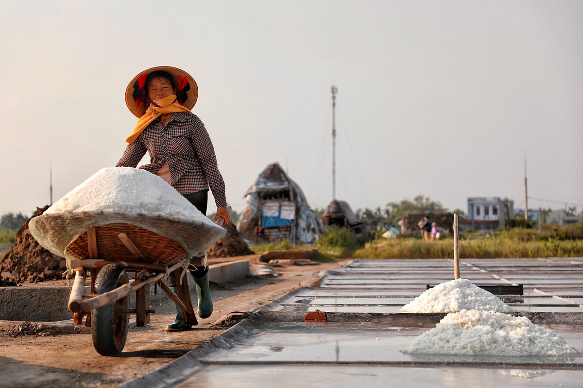 Những chuyến xe cút kít đầy ắp muối được đưa vào nhà chứa để bảo quản và chờ bán.