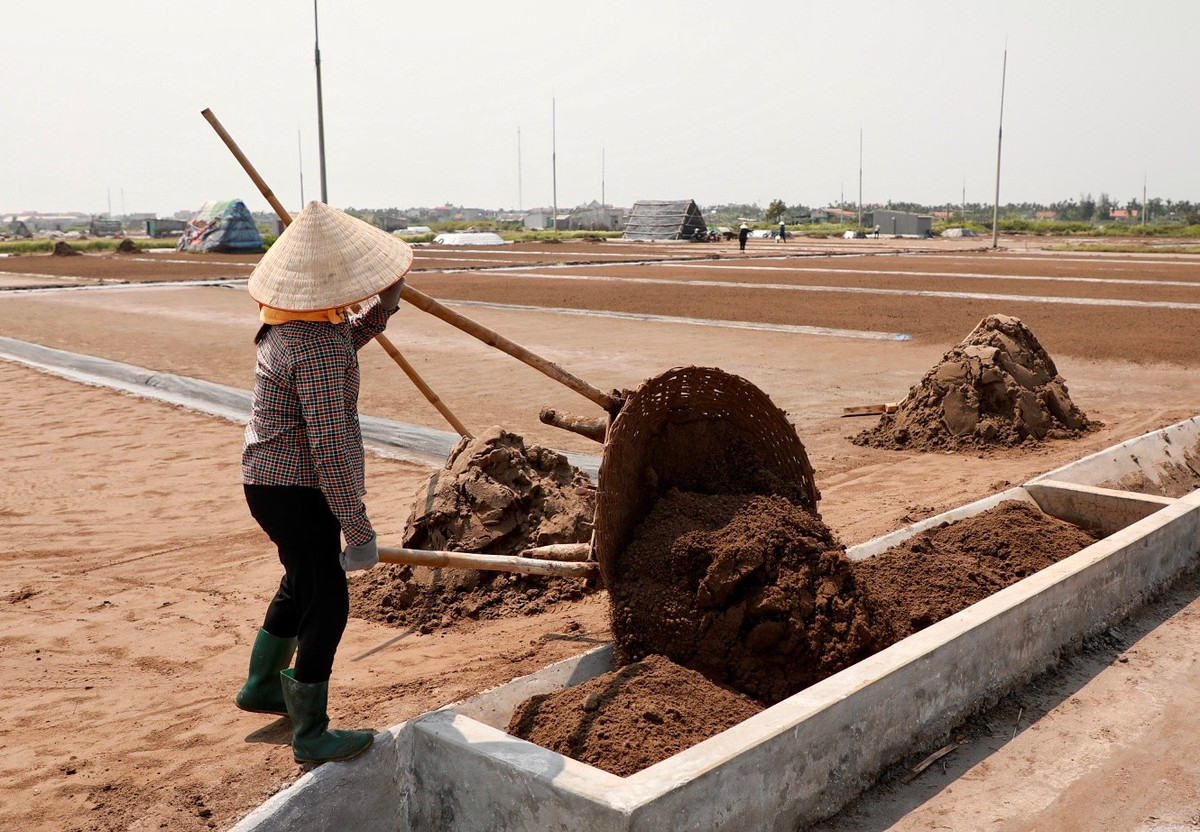 Theo ông Sơn, nghề làm muối phụ thuộc hoàn toàn vào thời tiết, nếu trời nắng to sẽ thu hoạch được nhiều. Nếu thời tiết không ủng hộ, trời mưa là mất trắng. Mùa làm muối của diêm dân xã Bạch Long bắt đầu từ tháng 3 và kết thúc vào tháng 8 hàng năm.