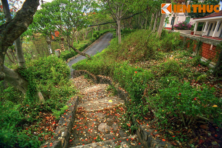 Năm ngôi biệt thự có kiểu dáng kiến trúc khác nhau nhưng đều hài hoà với cảnh sắc thiên nhiên xung quanh, được xây dựng theo nghệ thuật kiến trúc cổ điển Pháp có sự kết hợp hài hoà giữa nghệ thuật hoa viên. Ảnh: Những lối đi trong khu biệt thự.