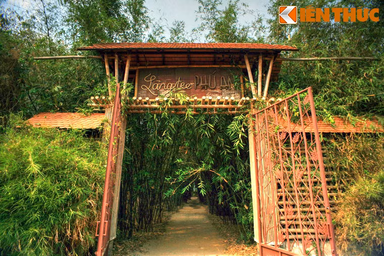 Kham pha bao tang song doc dao ve cay tre cua VN