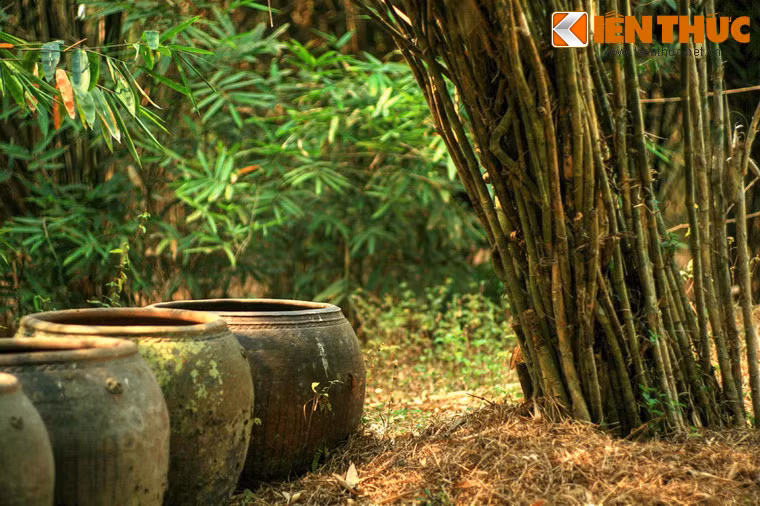 Bên cạnh đó làng tre cũng là nơi thư giãn lý tưởng cho du khách, với những khung cảnh đậm chất thôn quê Việt Nam.