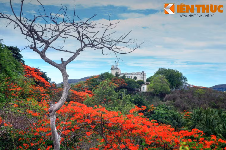 Ngam biet dien tuyet dep cua Bao Dai ben bien Nha Trang