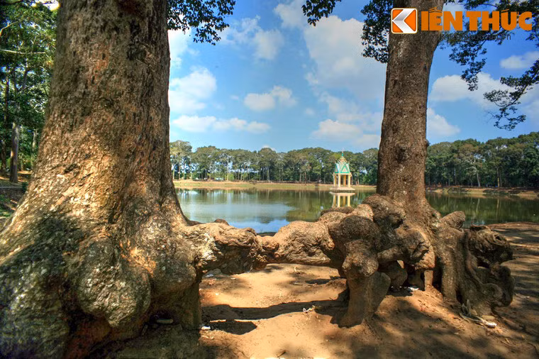 4. Nằm ở phường 8 của thành phố Trà Vinh, tỉnh Trà Vinh, Ao Bà Om là một thắng cảnh độc đáo và nổi tiếng ở khu vực Nam Bộ. Đây là một ao nhân tạo có hình chữ nhật, rộng 300 m, dài 500 m, xung quanh là hàng cây cổ thụ có rễ nổi lên tạo thành những hình thù kì lạ.