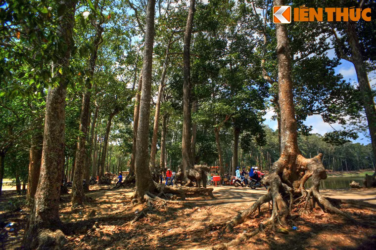 Ngày nay ao Bà Om là một địa điểm mà du khách không thể không ghé qua mỗi khi đặt chân đến mảnh đất Trà Vinh.