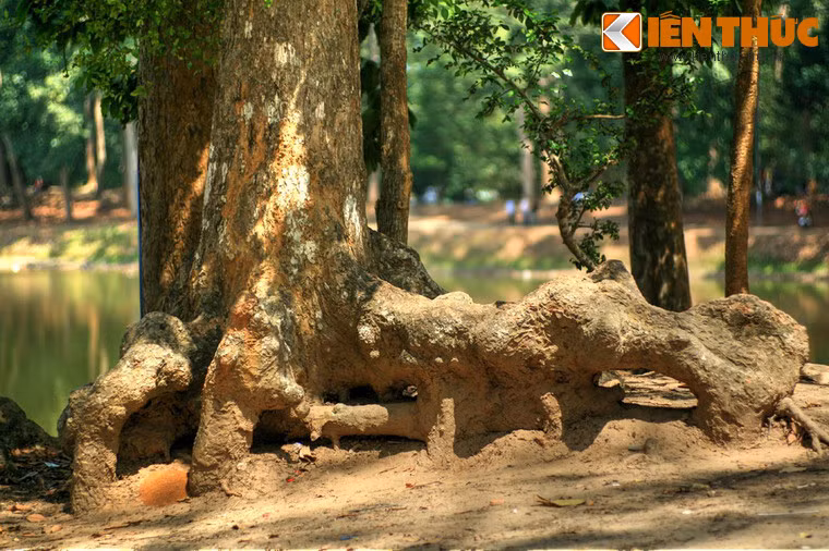 Bên nhóm nam ỷ sức mạnh nên vừa làm vừa chơi, trong khi nhóm nữ dưới sự chỉ huy của người phụ nữ tên Om, đã dùng nhiều mưu mẹo để trì hoãn nhóm nam.