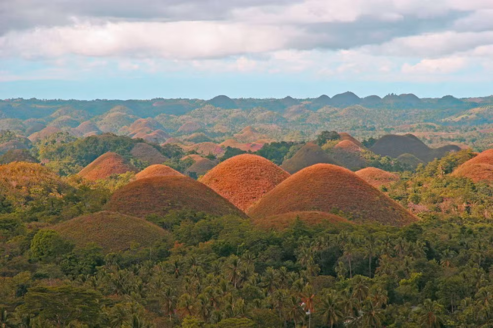 Đến mùa khô, thảm cỏ chuyển sang màu nâu, khiến khu đồi trông như những đống Chocolate khổng lồ. Tên gọi đồi Chocolate bắt nguồn từ đó.