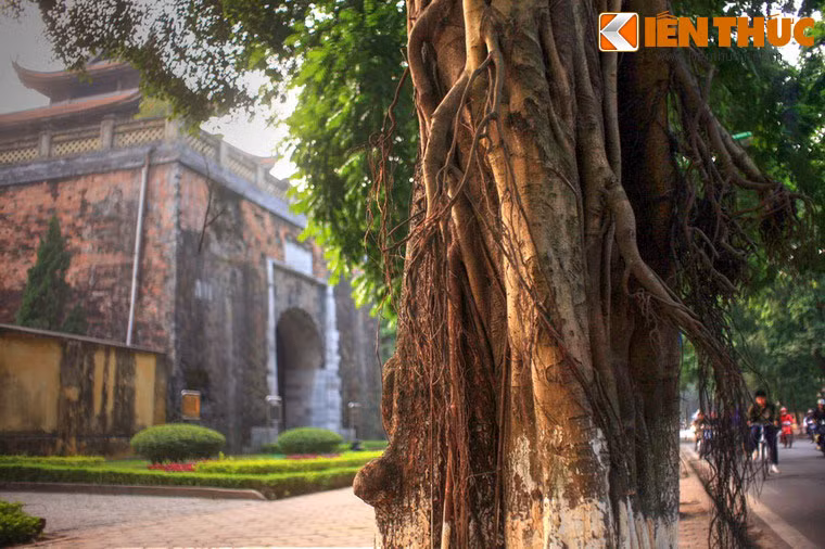 Bên cạnh vẻ đẹp của cây xanh, trên phố Phan Đình Phùng còn có các công trình cổ kính nổi tiếng của Hà Nội như cổng Bắc Môn, nhà thờ Cửa Bắc...