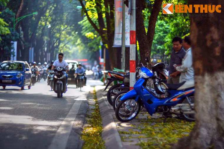 Con phố này vốn là dãy hào chạy dọc phía Bắc thành Thăng Long, đến thế kỷ 19 được người Pháp đặt tên là đại lộ Boulevart Carnot. Từ năm 1945, phố mang tên của nhà yêu nước Phan Đình Phùng và giữ tên đó cho đến ngày nay.