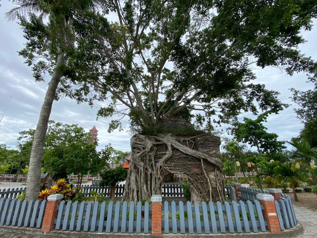 Phía trước cổng chùa Hoằng Phúc hiện còn một dịch môn hình vòm và được cây đa bao bọc, cổ kính, uy nghi.