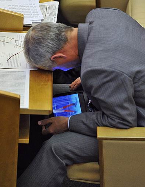 Nghị sĩ này “lén lút” vào mạng "tươi mát" tại Hạ viện Nga.