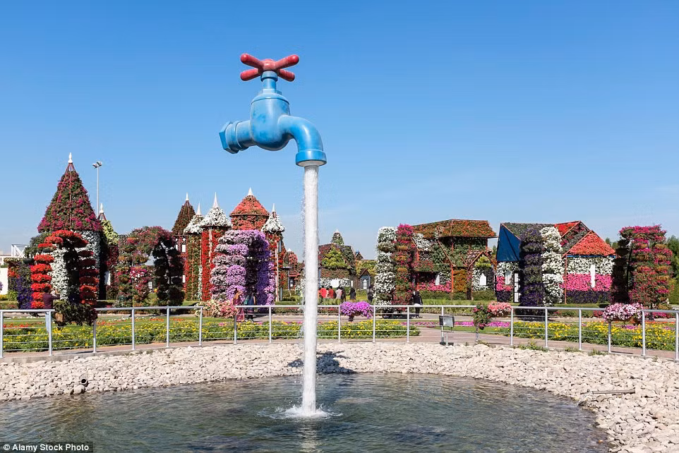 Không giống như các khu vườn khác trên thế giới, các loài thực vật ở vườn Dubai Miracle Garden được “tạo hình” với những hình dạng khác nhau, chẳng hạn như ngôi nhà.
