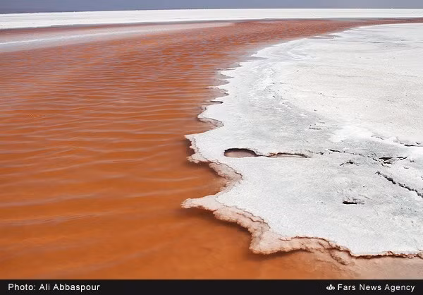 Thủy triều đỏ là tên gọi chung cho những hiện tượng tảo biển nở hoa. Hiện tượng này gây ra bởi một số loại tảo có nở hoa màu đỏ hoặc nâu.