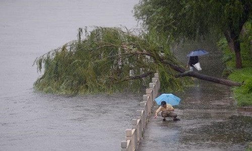 Người đàn ông đang bắt cá thả về sông ở Bắc Kinh ngày 20/7.