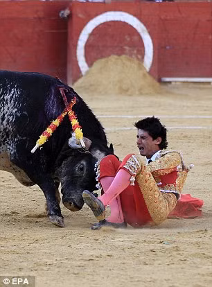 Kinh hai dau si bi bo tot huc chet o Tay Ban Nha-Hinh-6