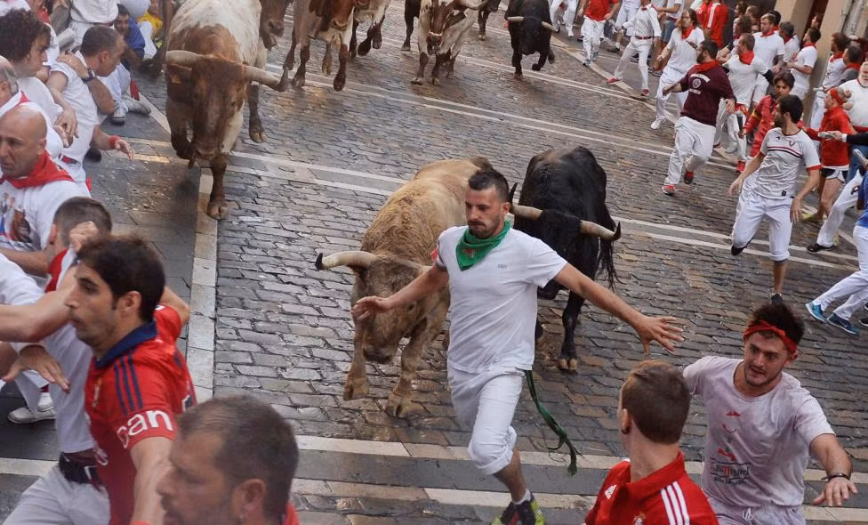 Chú bò Fuente Ymbro hung hãn rượt đuổi người ở góc phố Estafeta, Pamplona ngày 7/7.