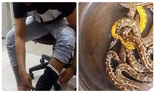 Indonesia bat giu hanh khach giau... 10 con tran trong quan