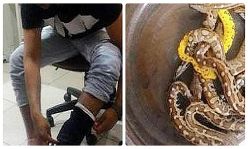 Indonesia bat giu hanh khach giau... 10 con tran trong quan