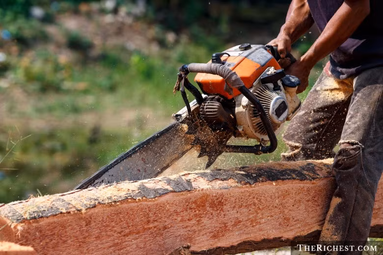 Nghề đốn gỗ hay nói rộng ra là những người làm trong ngành lâm nghiệp nằm trong nhóm nghề có số ca tử vong gia tăng trong những năm gần đây.