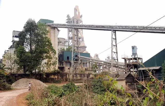 Cong ty CP Xi mang Bac Giang bi cuong che ngung su dung hoa don