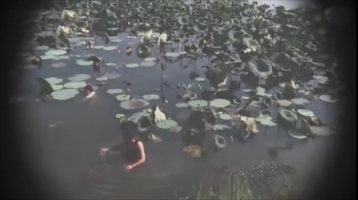 Sau khi gây án, các đối tượng bỏ trốn về hướng cầu Đọ Xá, TP. Phủ Lý và lên xe ô tô Đạt chờ sẵn để chạy trốn. Trên đường đi Hoàn đưa súng cho Đạt tháo rời súng K54.