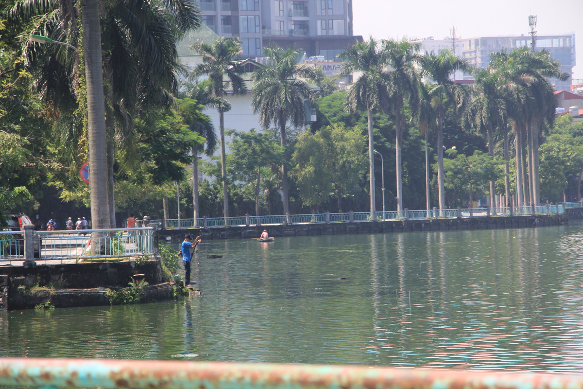 Dọc theo đoạn đường chỉ khoảng 3km, từ phía đầu hồ Tây (đường Thanh Niên) đường Nguyễn Đình Thi cho đến đoạn Trích Sài (đoạn phố Văn Cao rẽ vào), cứ khoảng vài trăm mét lại có một cần thủ đang đứng câu cá.