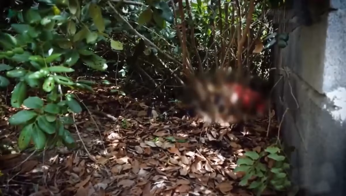 Công an huyện Cam Lâm (Khánh Hòa) đã nhanh chóng có mặt tại hiện trường thực hiện công tác bảo vệ, khám nghiệm hiện trường, khám nghiệm thi thể.