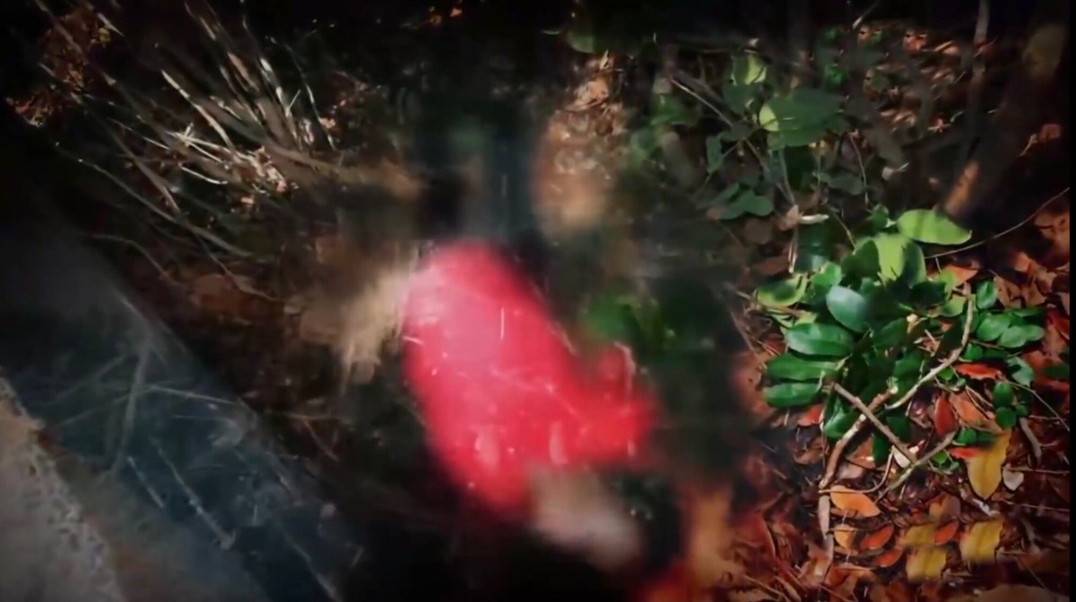 Công an xác định, thi thể người phụ nữ trung tuổi đã có dấu hiệu phân hủy. Nhận định đây có thể là 1 vụ án mạng, công an huyện Cam Lâm đã báo cáo lên Ban Giám đốc Công an tỉnh Khánh Hòa.