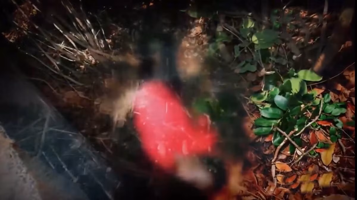 Công an xác định, thi thể người phụ nữ trung tuổi đã có dấu hiệu phân hủy. Nhận định đây có thể là 1 vụ án mạng, công an huyện Cam Lâm đã báo cáo lên Ban Giám đốc Công an tỉnh Khánh Hòa.