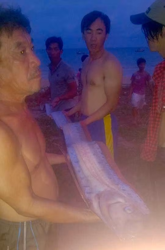 Ca ho “khung” dai gan 3m chet troi vao bo bien Binh Thuan