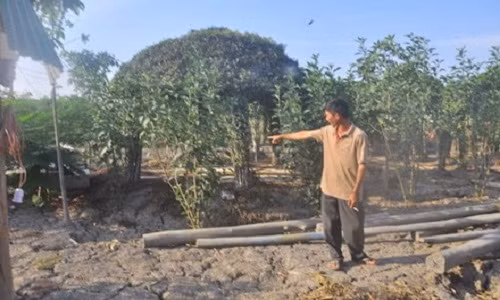 Huyen Binh Chanh noi xu ly hinh su chu choi nuoi vit dung luat