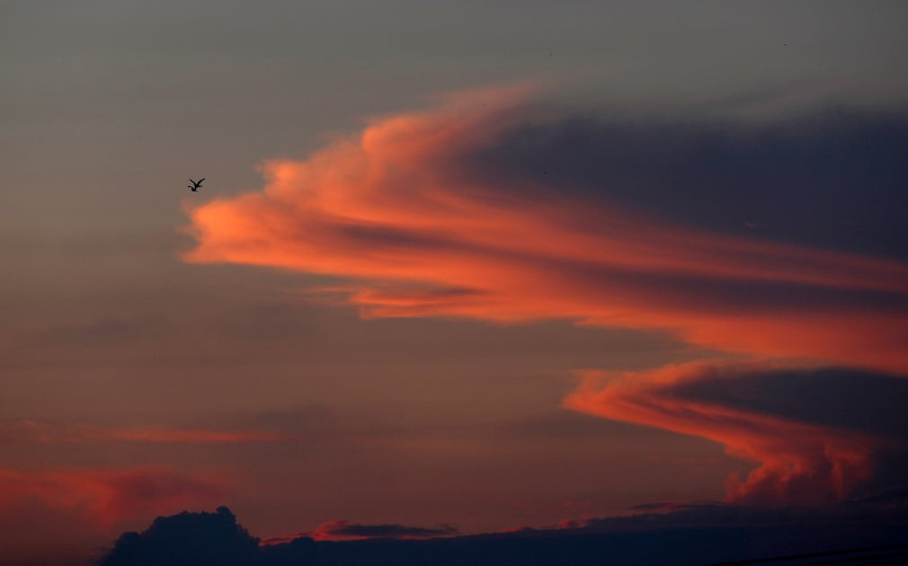 Chim bay trên bầu trời lúc hoàng hôn tại thị trấn Biet Hanon, Dải Gaza. (Nguồn Guardian)